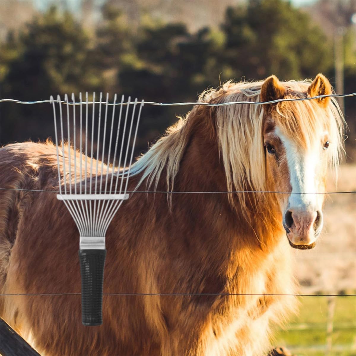 Sheep Wool Rake Brush Deshedding Tool for Farm Animal Grooming 32Cm Compact Black and White Cow and Horse Hair Scratching Comb for Livestock Coat Care