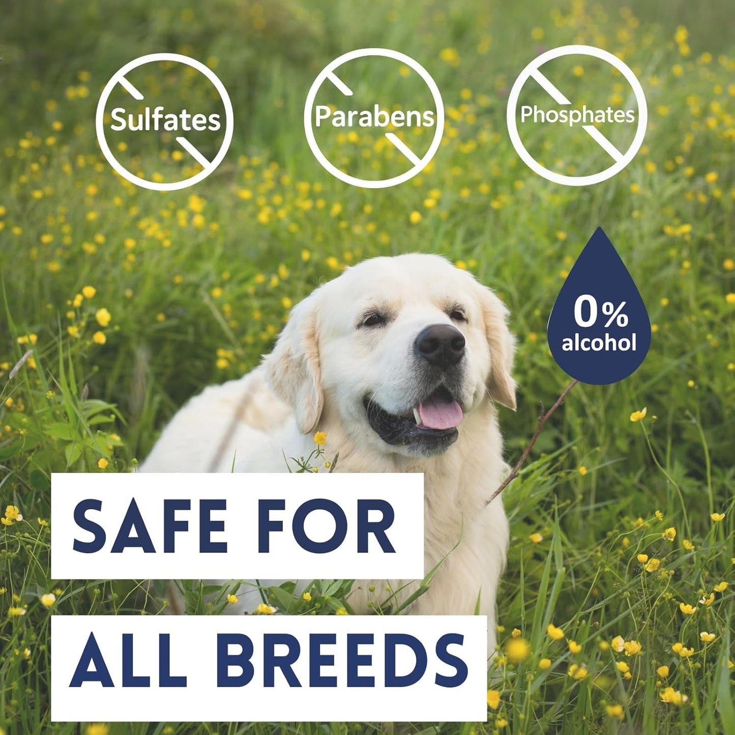 Naturally-Derived Dog Cologne Spray, Long-Lasting Deodorizing Odor Control, Freshens Coat Between Baths, No Parabens or Alcohol, Safe For Sensitive Skin, Made In USA, 16 fl oz