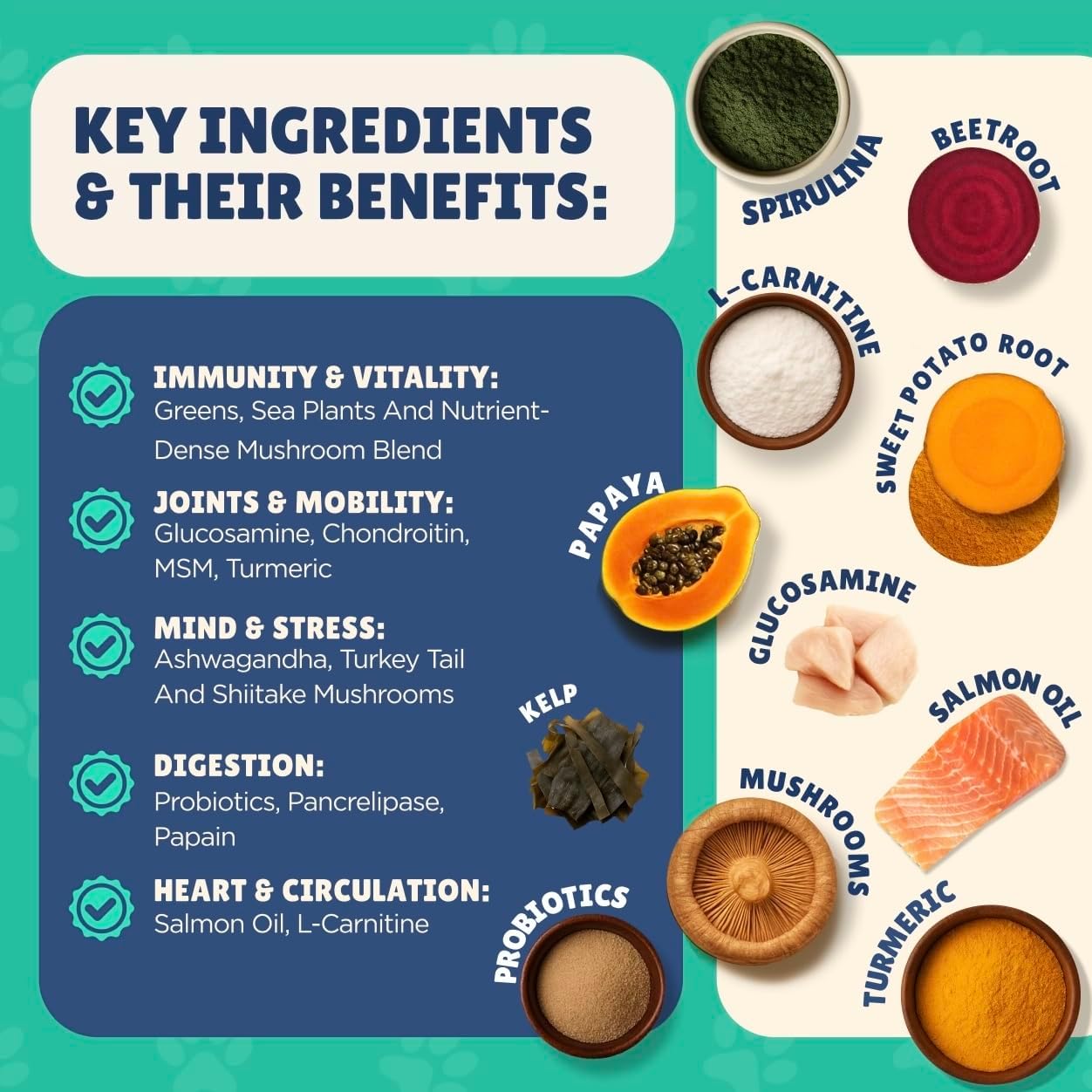 Senior Dog Supplement - Glucosamine, MSM, Turmeric, Salmon Oil, Probiotics & Ashwagandha - Supports Cognitive, Hip & Joint, Digestive, Immune & Heart Health - Dog Dementia Supplement.