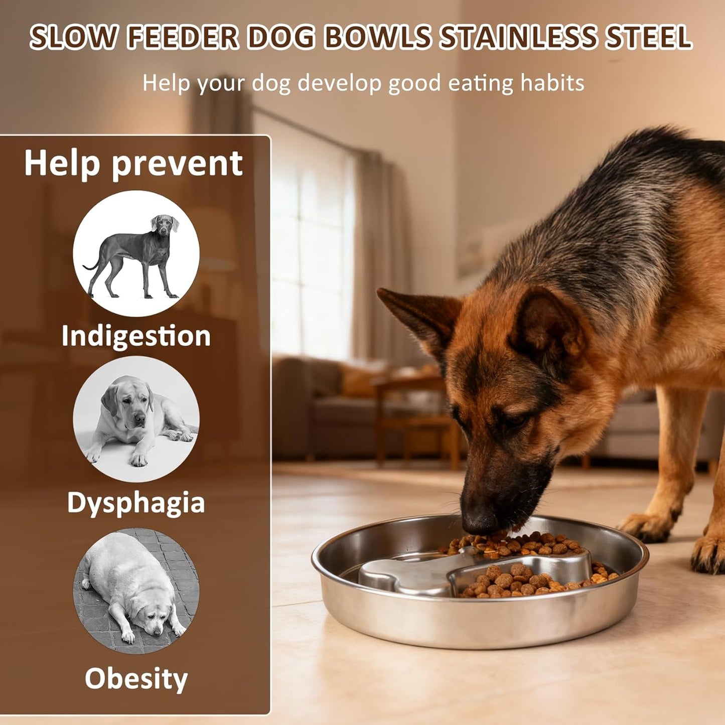 Slow Feeder Dog Bowls, 5 Cups Stainless Steel Metal Slow Feeder for Medium & Big Dogs, Pet Bowl for Fast Eaters, Slows Down Eating, Dishwasher Safe, Anti-Gulping Dog Bowl (2PCS)