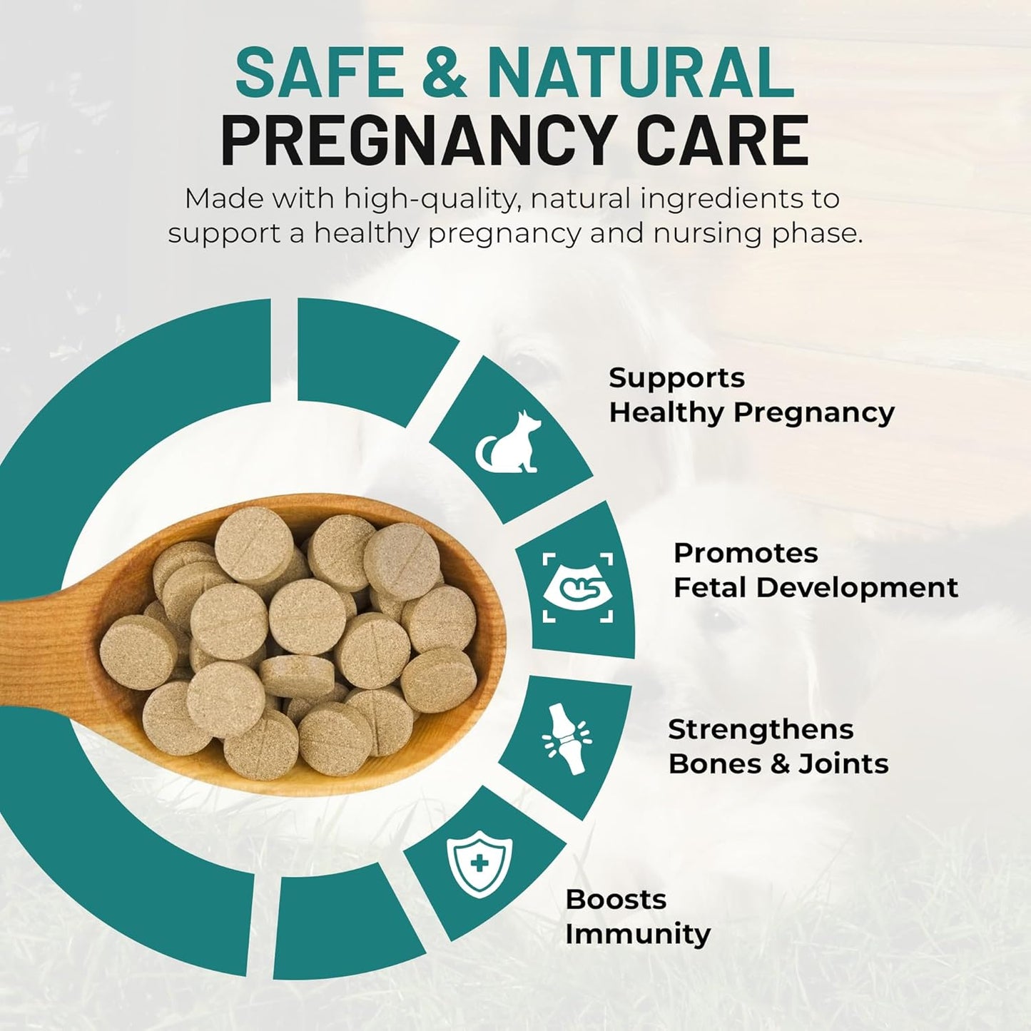 Dog Vitamins and Supplements - Chewable Dog Prenatal Vitamins for Large and Small Breed - Multivitamin Supplement for Health Support and Development - 120 Soft Chews