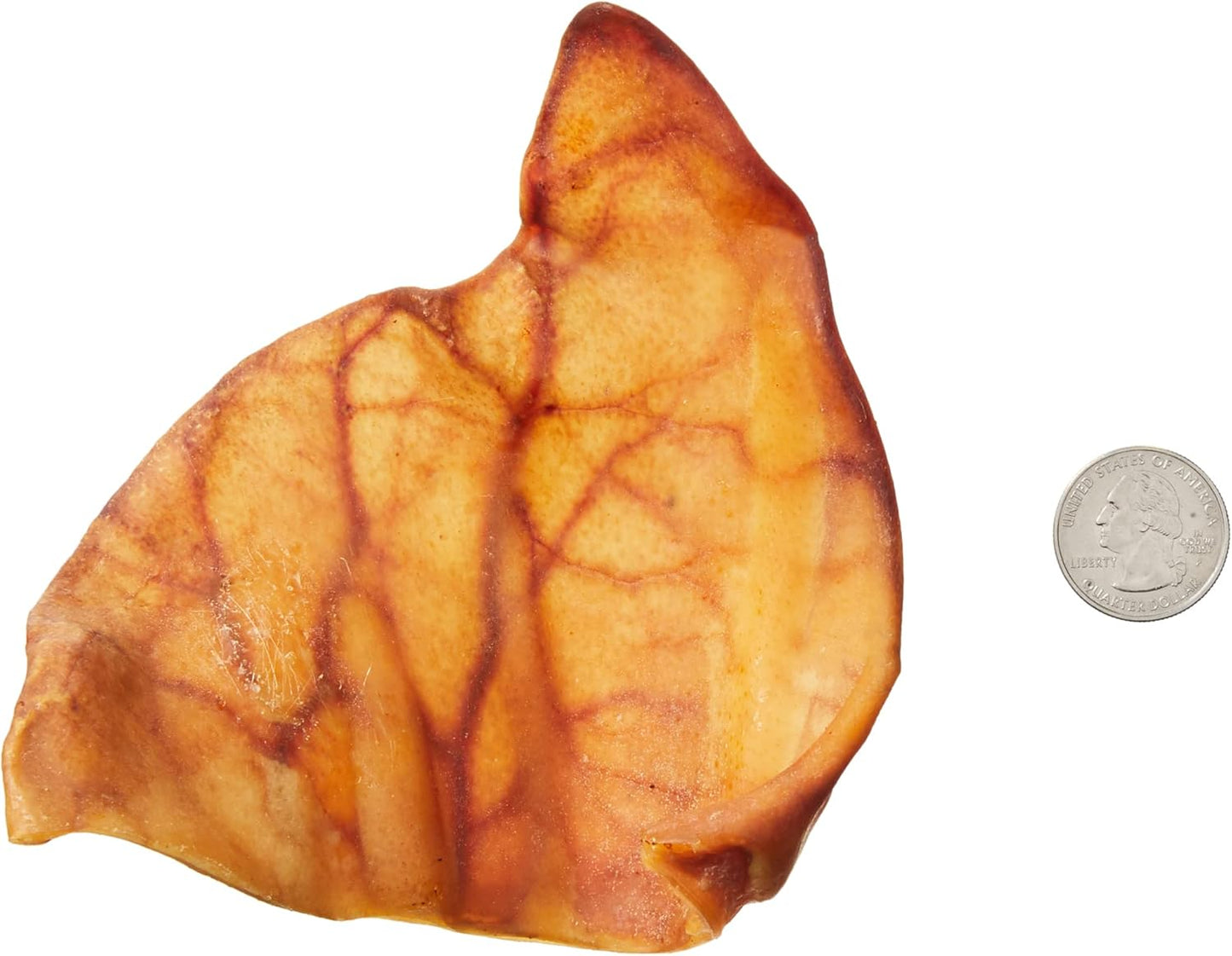 Amazon Brand - Wonder Bound Whole Pig Ears, Single Ingredient, Highly Digestible, Dog Treats for Puppy and Large/Medium Dogs, Pork, 18 Count, 12.7 Ounce (Pack of 2)