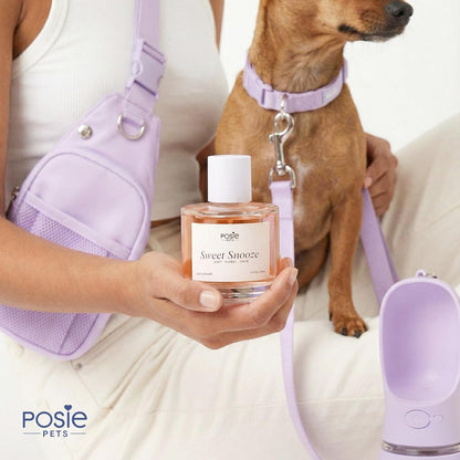 Dog Cologne Spray with Long Lasting Jasmine, Musk, and Vanilla Scent - Vegan Alcohol-Free Pet Deodorizer for Smelly Dogs - Water-Based Luxury Puppy Grooming Fragrance - Sweet Snooze, 100ml