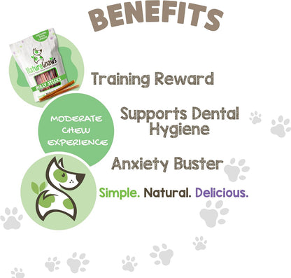 Nature Gnaws Extra Thin Bully Sticks for Small Dogs 5-6" (10 Count) - Long Lasting for Light Chewers and Puppies - Natural Beef Dog Chew Bones