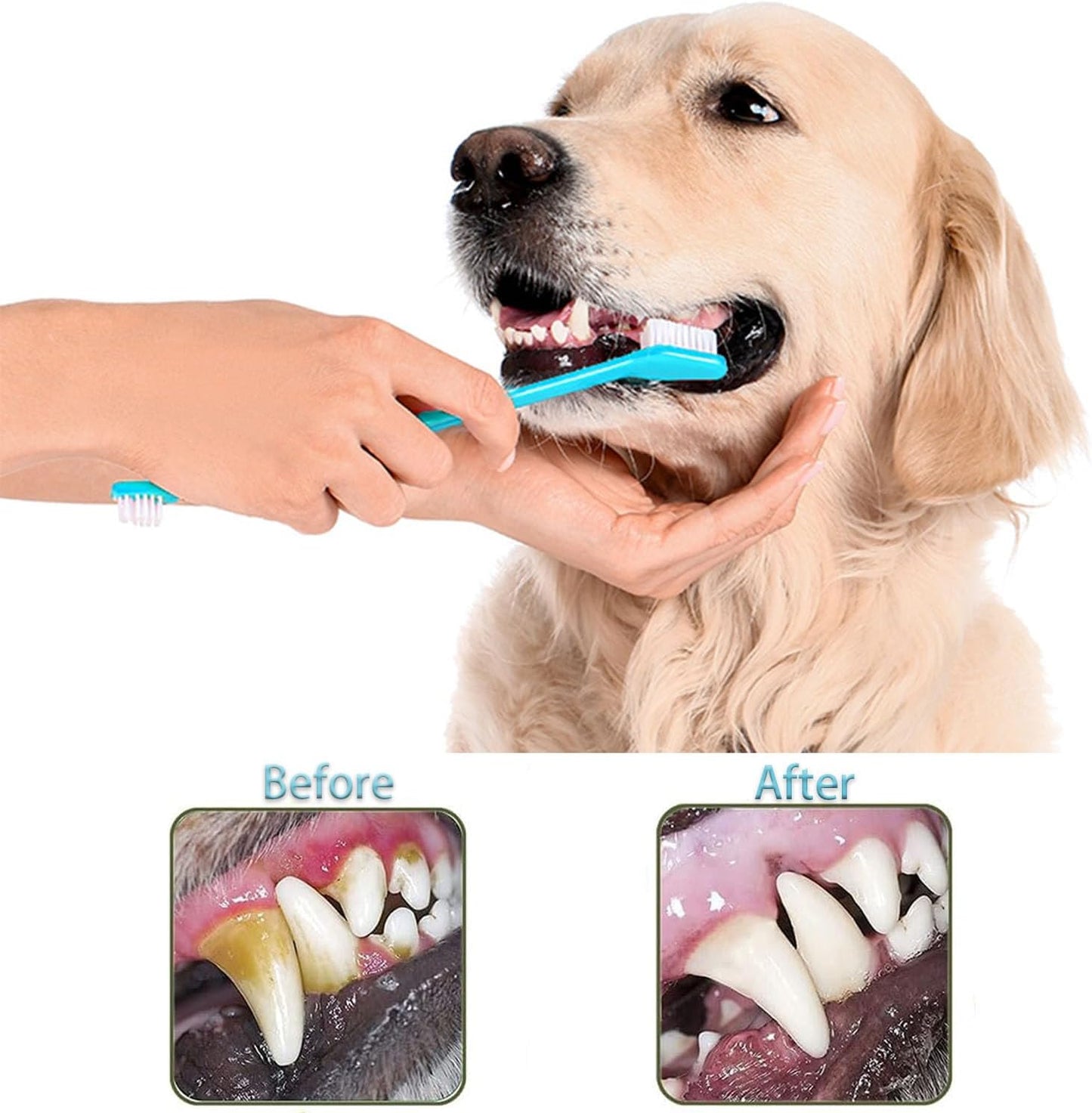 Dog Toothbrush, 360 Degree Finger Toothbrushes, Triple Head Toothbrushes, Double Head Toothbrush,Cleaning Brushes for Dog Cat Oral Dental Health (Blue, L)