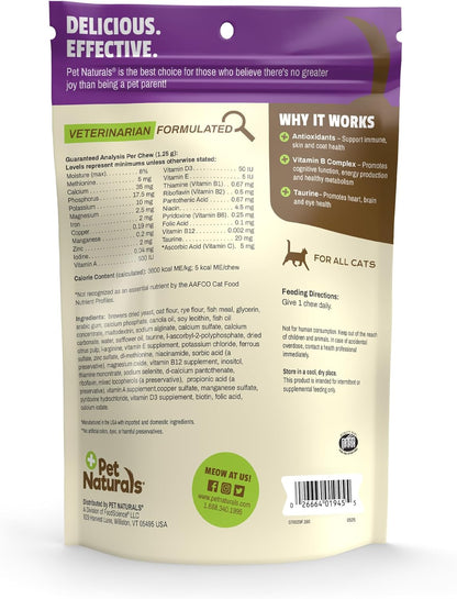 Pet Naturals Daily Multivitamin for Dogs – 28 Essential Nutrients, Fatty Acids & Antioxidants for Complete Health | Supports Energy, Digestion, Skin & Coat | Fish Flavor Soft Chews, 160 Count