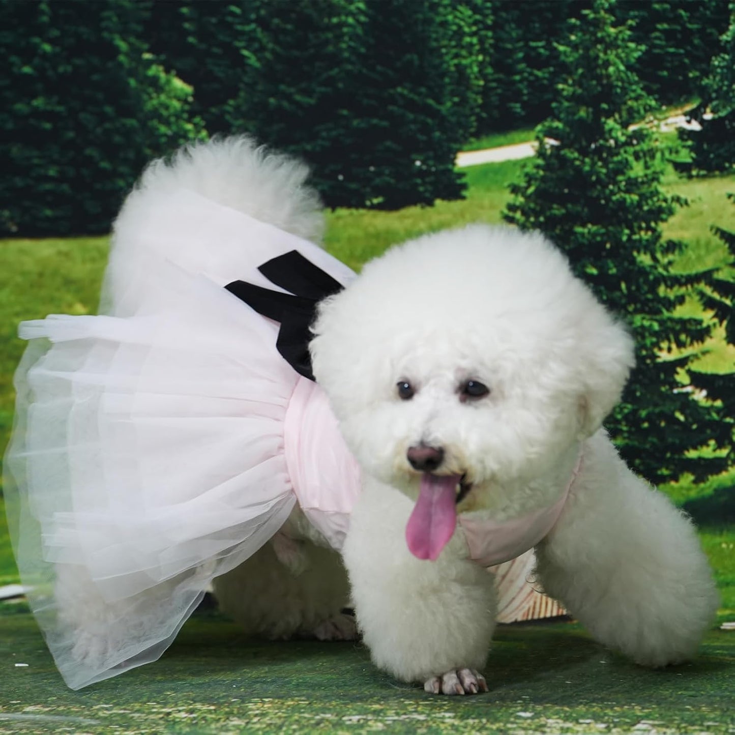 Dog Dress,Pet Wedding Dress Princess Formal Tutu Skirt with Bowknot,Puppy Birthday Party Outfit Apparel Girl for Large Dogs Cats (Pink, 4X-Large)
