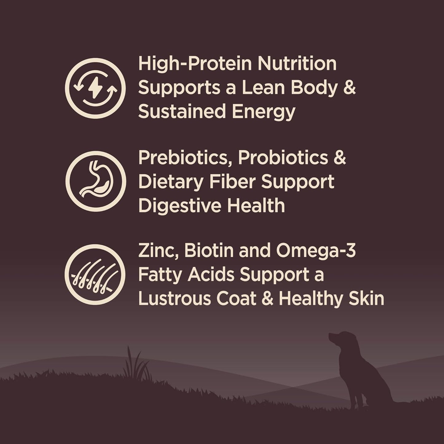 Wellness Natural Pet Food Wellness CORE Wholesome Grains Original Recipe, 24 Pound Bag