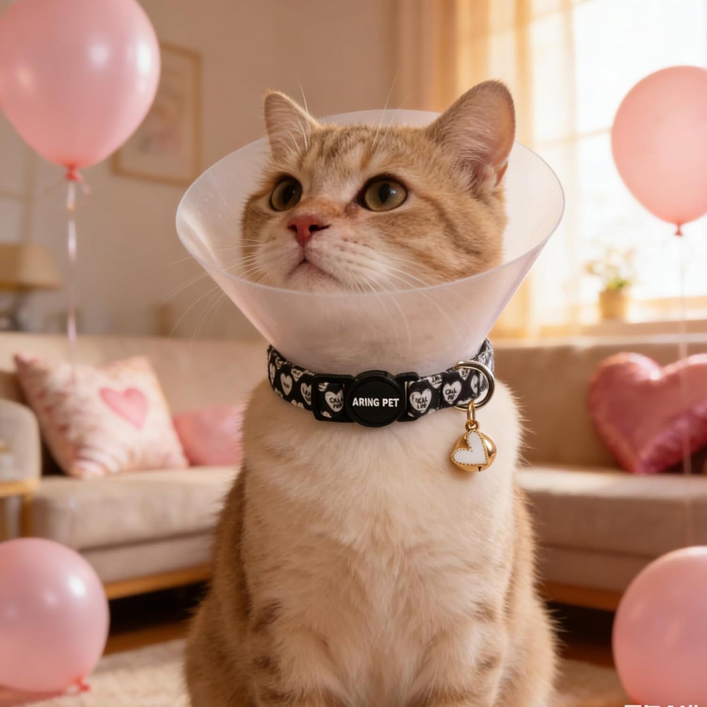 ARING PET 2 Pack Valentine's Day Cat Collar, Breakaway Kitten Small Black White Pink Heart Collars with Bells for Girl Boy Cats