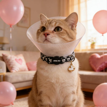 ARING PET 2 Pack Valentine's Day Cat Collar, Breakaway Kitten Small Black White Pink Heart Collars with Bells for Girl Boy Cats