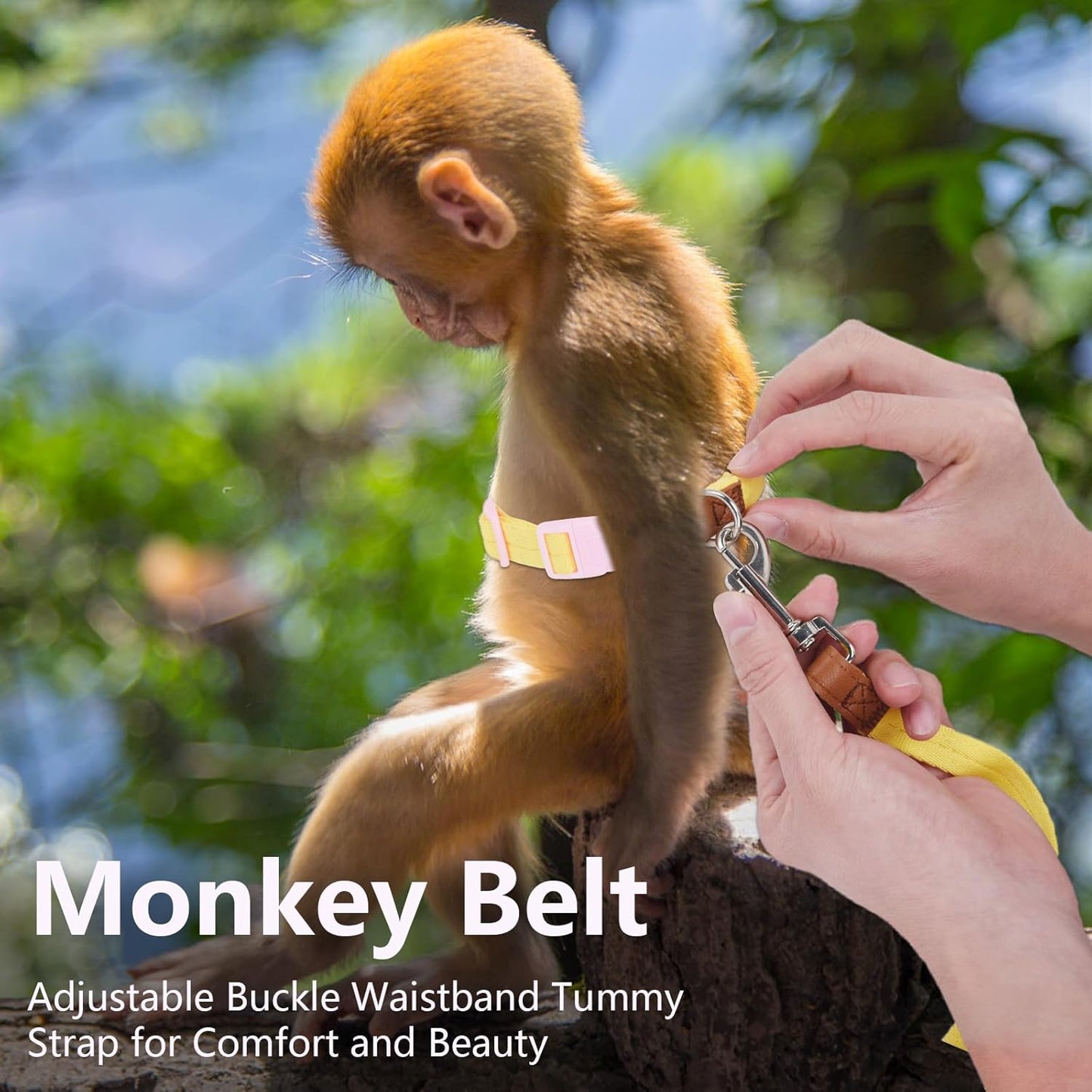 Mini Monkey Leash, Adjustable Monkey Strap with Belly Bands and Matching Leash for Marmoset Monkey, Maximum Dimension 5.7 Inches for Monkey, Comfortable and Durable