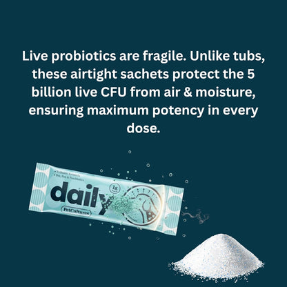 PetCultures Daily TriBiotic Formula | Probiotic Powder for Dogs with Digestive Enzymes & Vitamins | Supports Gut Health & Overall Wellness - Made in USA (10)