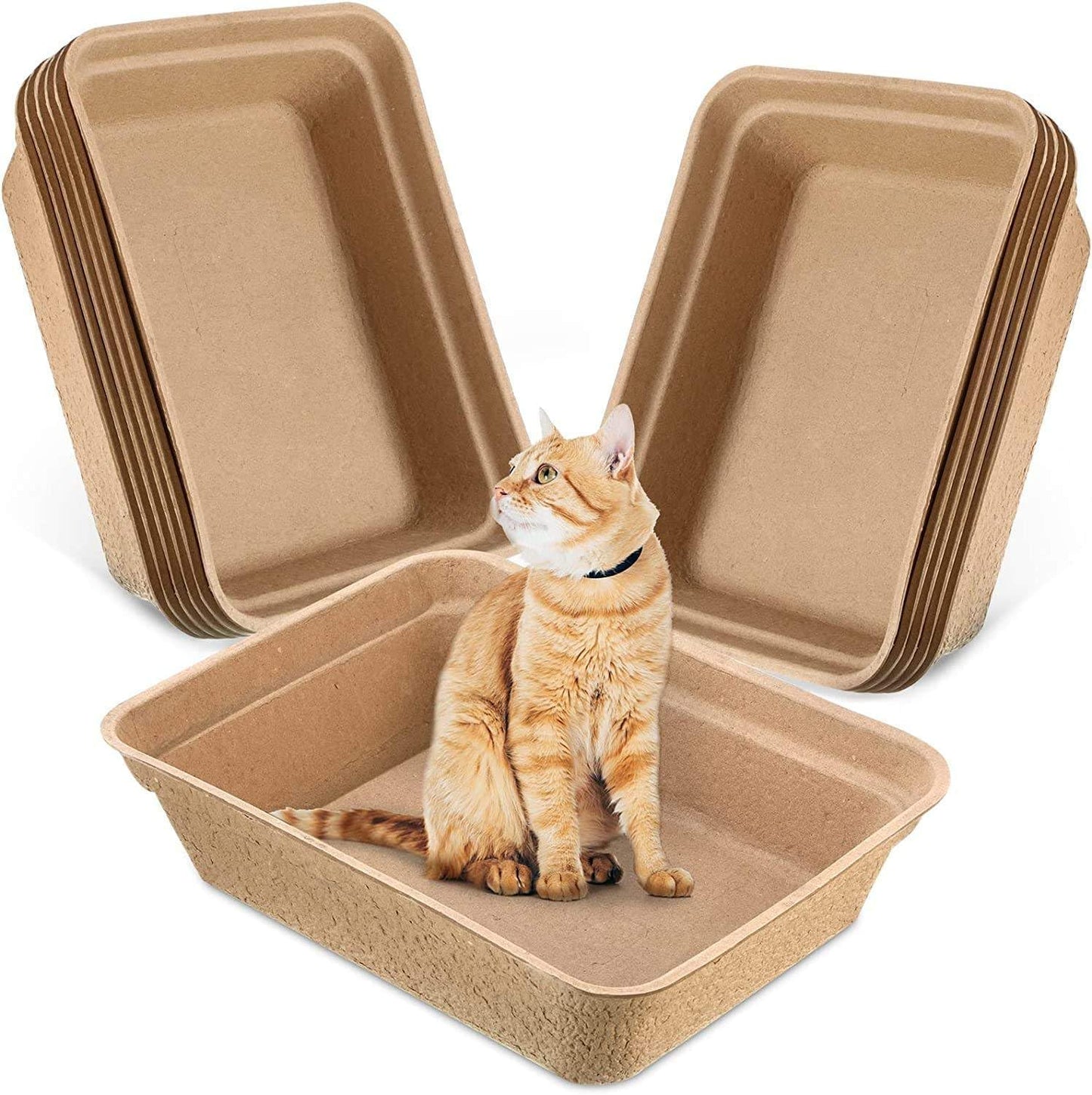 Disposable Cat Litter Box 6 Pack – Eco-Friendly Kitty Litter Box, 100% Biodegradable Paper Pulp, Leak-Proof Disposable Travel Litter Boxes for Cats, Cat Tray 18"x13"x4"