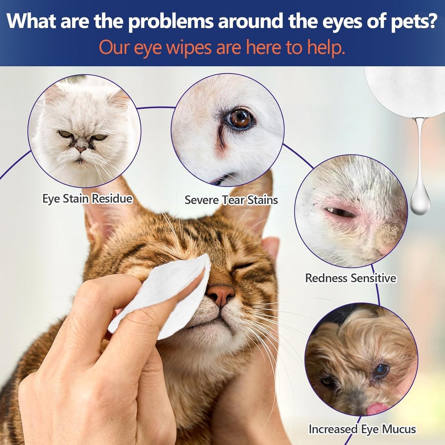 60Pcs Eyes Wipes for Dogs & Cats - Gently Remove Tear Stain, Debris, Discharge, Non Stinging Formula to Remove Eye Debris,Pet Cleaning Grooming Deodorizing Wipes Wash Cleaner for Eyes, Wrinkle, Face