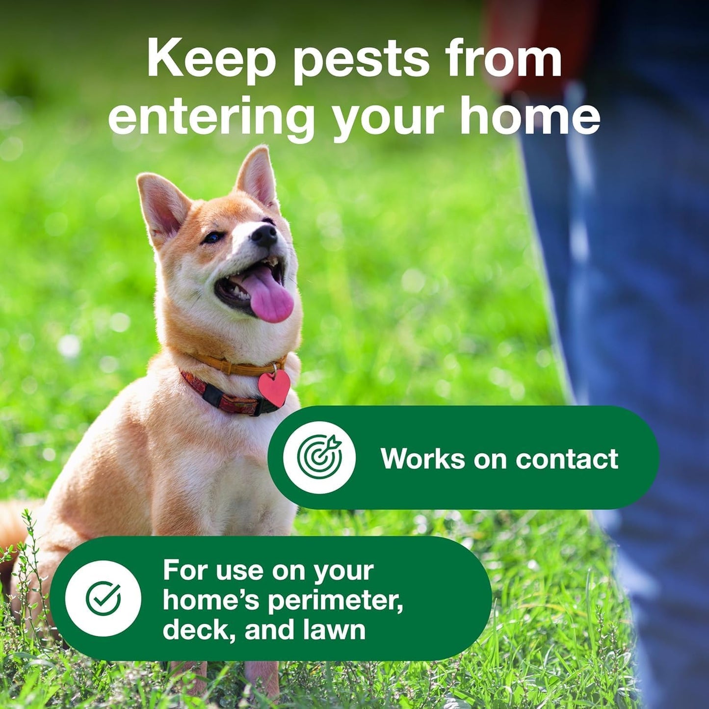 Bundle of Advantage II Vet-Recommended Flea Treatment & Prevention | Cats Over 9 lbs. + Advantage Yard & Premise Spray 32 oz.