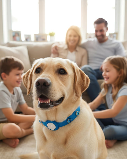 Upgraded AirTag Dog Collar - Adjustable Diamond-Studded Leather Dog Collar with Quick-Release Buckle | Luxurious Jewelry Accessory for Small, Medium, and Large Dogs (L (14"-18"))