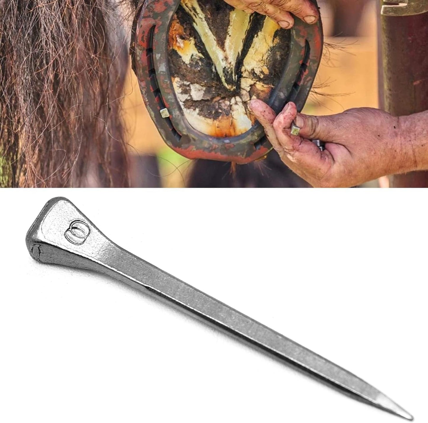 Surf turtle E3 Horseshoe Nails 50 Pcs 1.7 Inches Low Carbon Steel Horse Hoof Nails Horse Training Supplies Tool for Securing Firmly