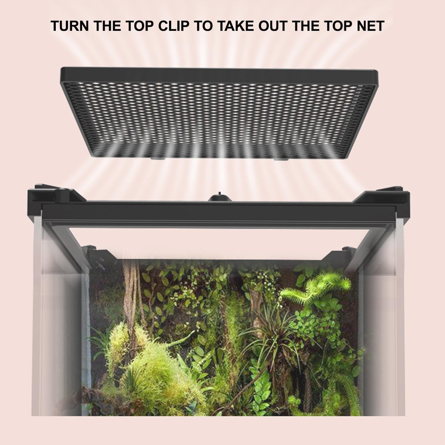 Reptile Tall Glass Terrarium Rainforest Habitat Single Door with Screen Ventilation,Small Reptile Terrarium for Spiders, Tarantulas, Snail, Mantis, Lizard (8 * 8 * 12 inch)