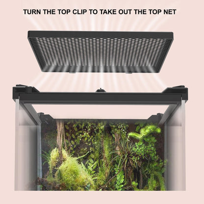 Reptile Tall Glass Terrarium Rainforest Habitat Single Door with Screen Ventilation,Small Reptile Terrarium for Spiders, Tarantulas, Snail, Mantis, Lizard (8 * 8 * 12 inch)