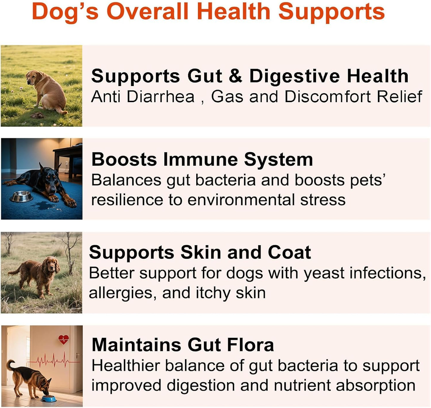 Probiotics for Dogs, Dog Probiotics for Digestive Health and Itchy Skin with 7 Enzymes & 2 Prebiotics. Pet Probiotics lab - Helps Diarrhea, Yeast Infection, Allergies & Immune System -180ct