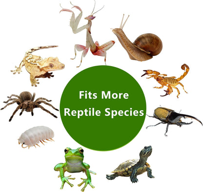 PC Small Reptile Terrarium, Tarantulas Enclosure, 12.6"x8.7"x3.9" for Geckos, Insect, Hermit Crab, Praying Mantis, Mini Terrarium Box