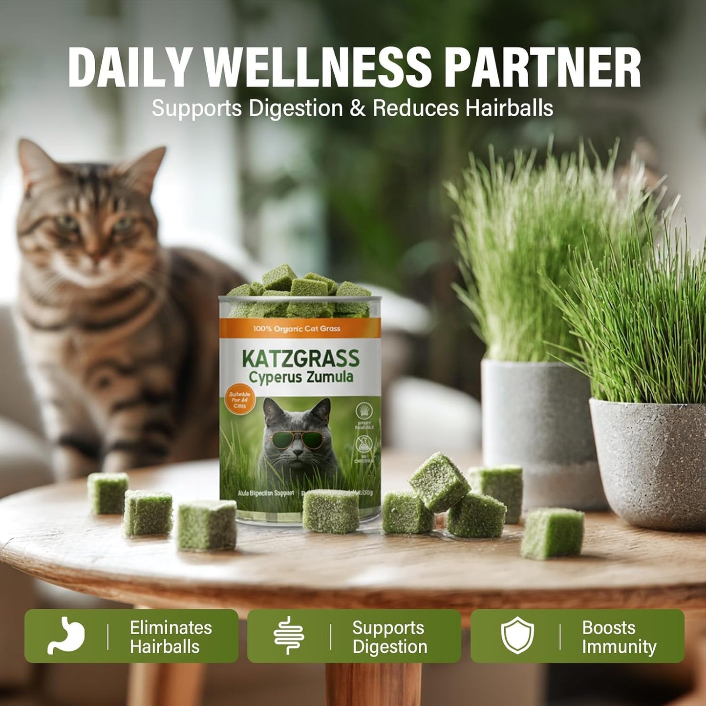 Cat Grass Treats, Natural Hairball Treatment for Cats, Healthy Freeze-Dried Supplement to Aid Digestion and Control Hairballs, 120 g