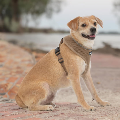 Best Pet Supplies Voyager Aerolite Adjustable No Pull Dog Harness with Reflective Stripes for Walking, Jogging, Heavy-Duty - Beige, Small