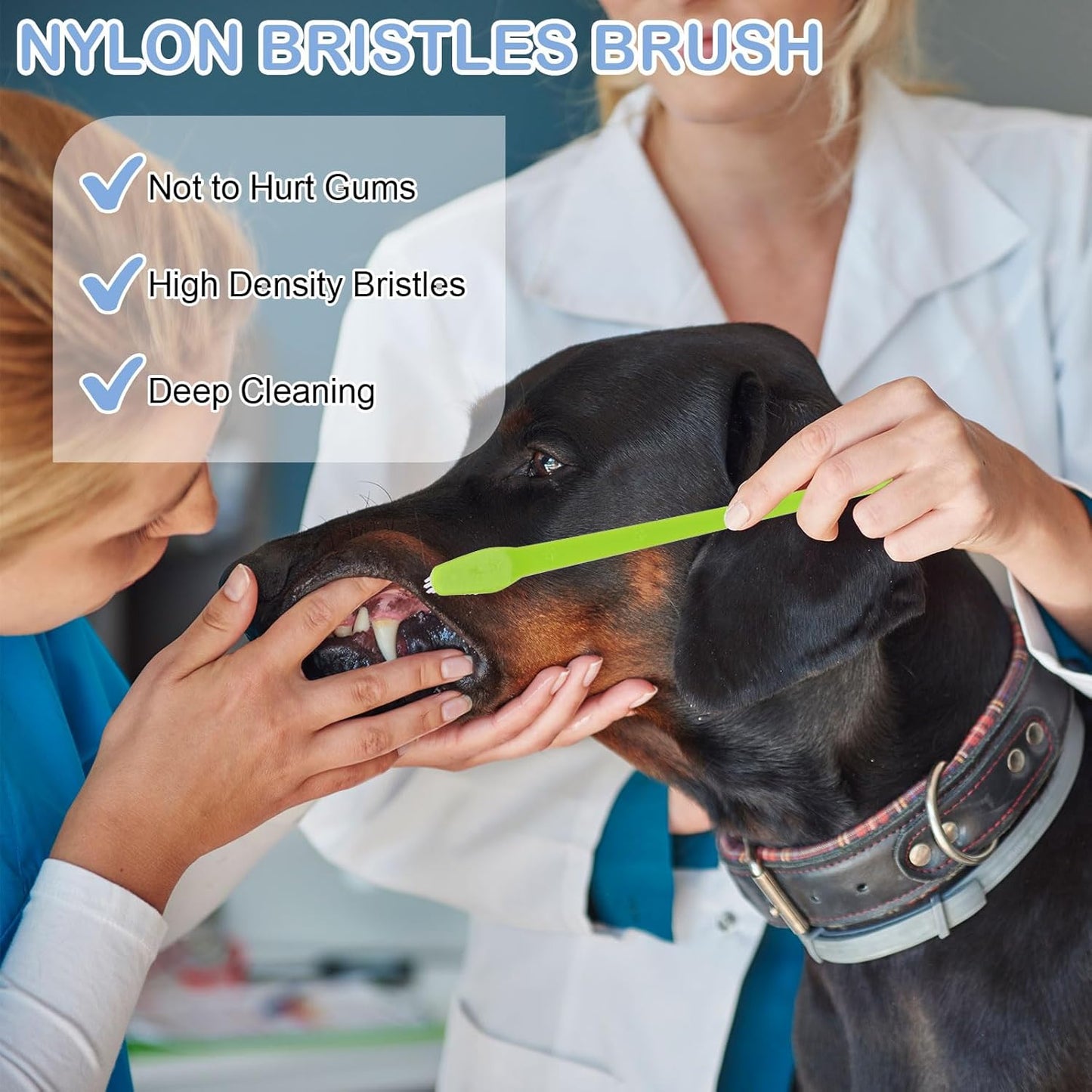 PEASUG 15 Pcs Dog Toothbrushes, Dual Headed Dental Hygiene Brushes, Soft Bristles Pet Toothbrush, Long Handle Dog Tooth Brushes for Small to Large Dogs, Cats, and Most Pets Dental Care