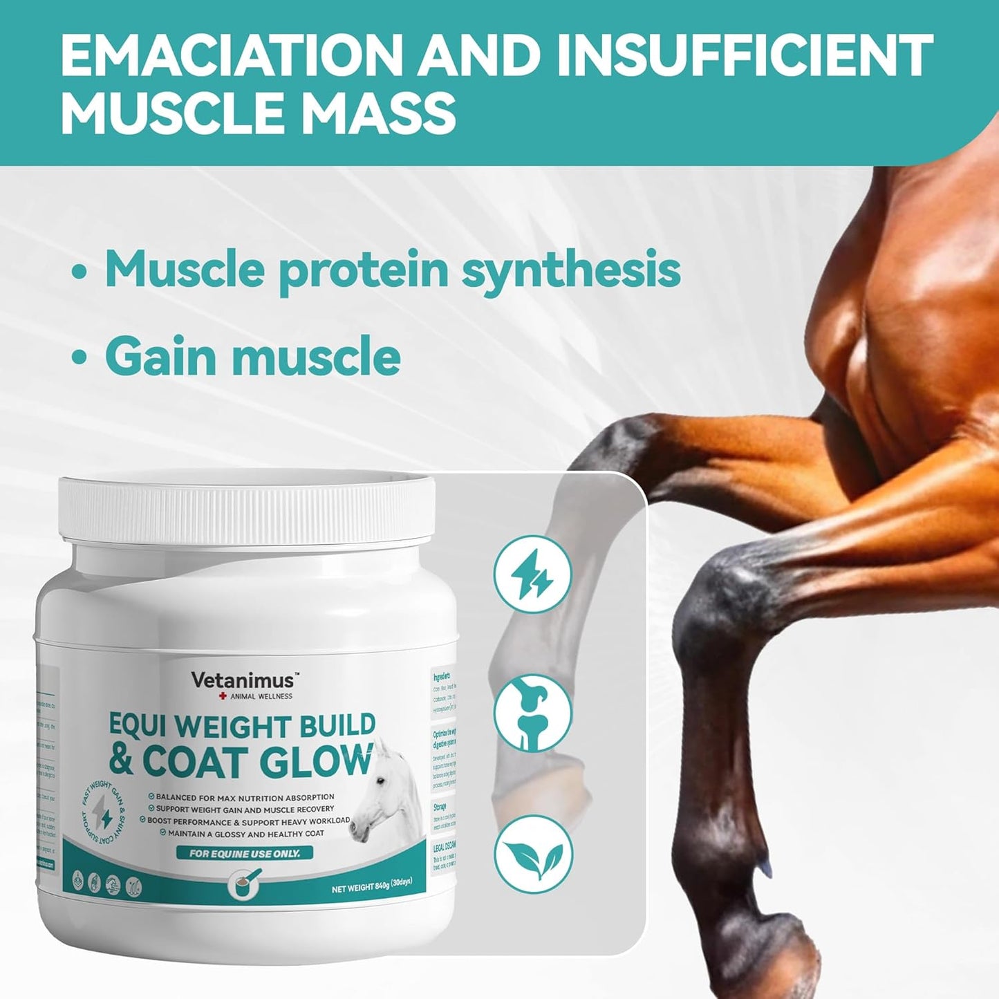 Horse Weight Gain Supplement Weight Build & Coat Glow Supplement for Horses Grounded Flaxseed with Omega-3 840g
