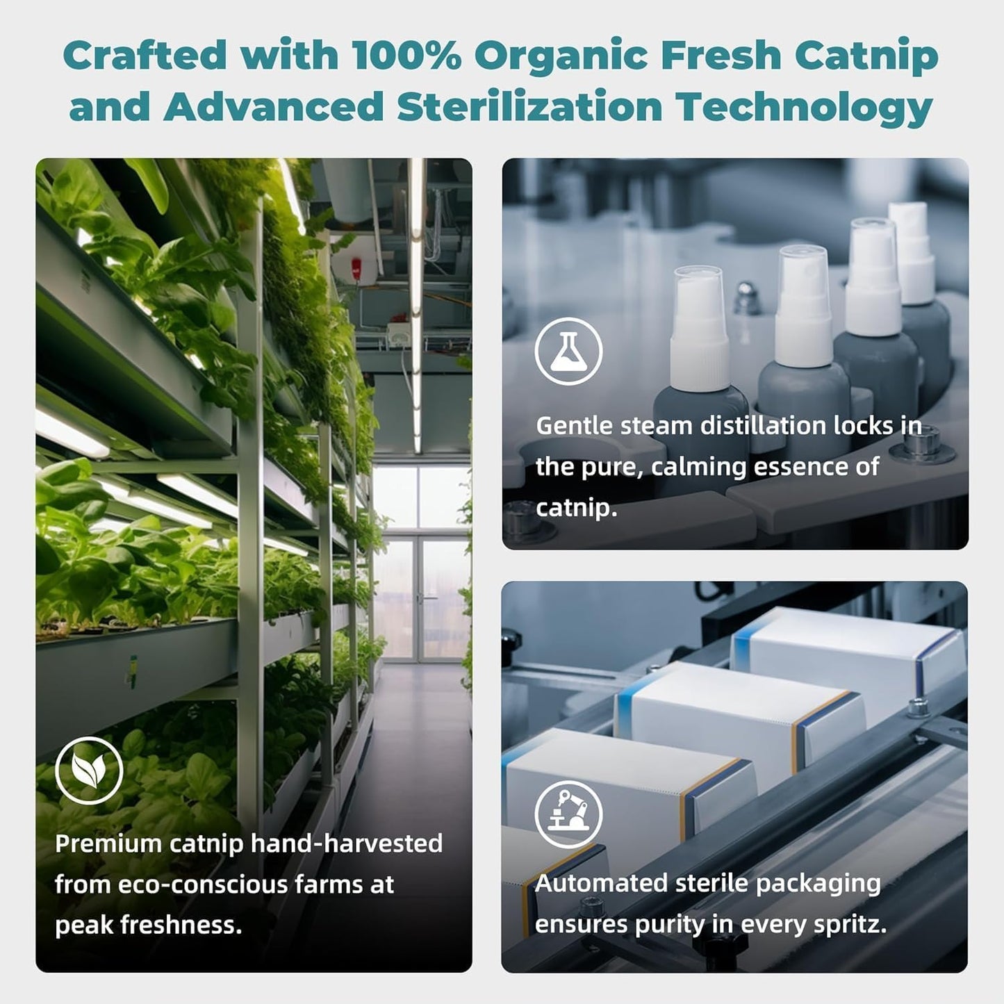 Catnip Spray for Cats - Highly Potent for Energizing Play & Toy Renewal, Calming Stress Relief for Indoor Cats, 100% Natural Organic Catnip, Mess-Free Herbal Formula (2 fl.oz)