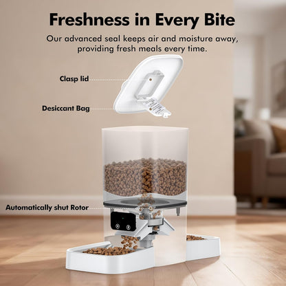 Automatic Cat Feeder for 2 Cats, 6L Automatic Cat Food Dispenser with 2 Stainless Steel Bowls, Timed Dry Food Dispenser with APP Control for Cats and Dogs, Dual Power Supply, 10s Voice Recorder