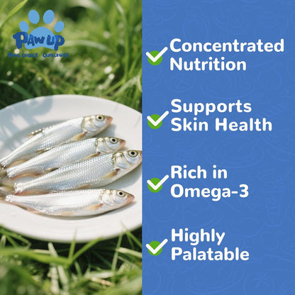 PAWUP Freeze Dried Minnows Dogs Treats – 100% Raw Single-Ingredient Pet Fish Snacks – Rich in Omega-3, Grain-Free – Healthy Training Rewards & Meal Toppers, 2.8 oz