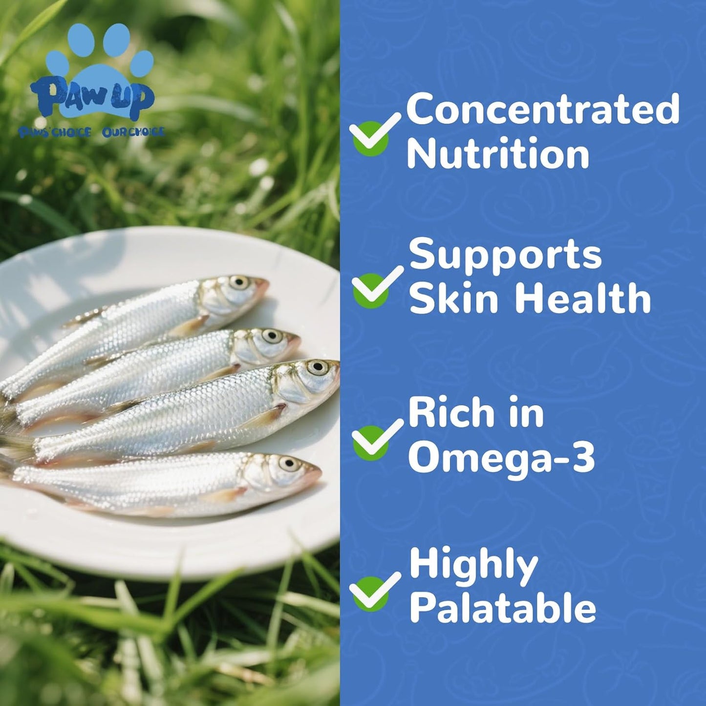 PAWUP Freeze Dried Minnows Dogs Treats – 100% Raw Single-Ingredient Pet Fish Snacks – Rich in Omega-3, Grain-Free – Healthy Training Rewards & Meal Toppers, 2.8 oz