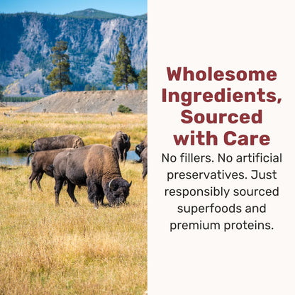 BADLANDS RANCH Superfood Nuggets – Freeze-Dried Raw Dog Treat & Food Topper, Nutrient-Dense Bison & Kale Formula, High Protein, No Artificial Additives, 8oz Bag