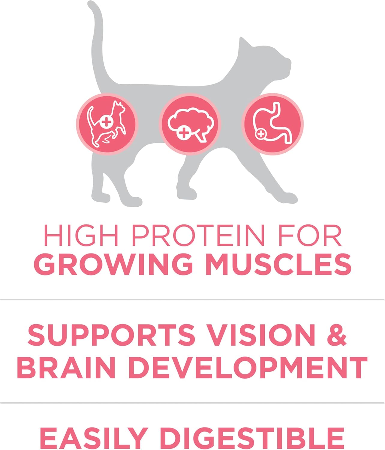 Purina ONE High Protein, Natural Dry Kitten Food, +Plus Healthy Kitten Formula - 7 lb. Bag