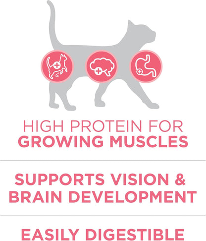 Purina ONE High Protein, Natural Dry Kitten Food, +Plus Healthy Kitten Formula - 7 lb. Bag