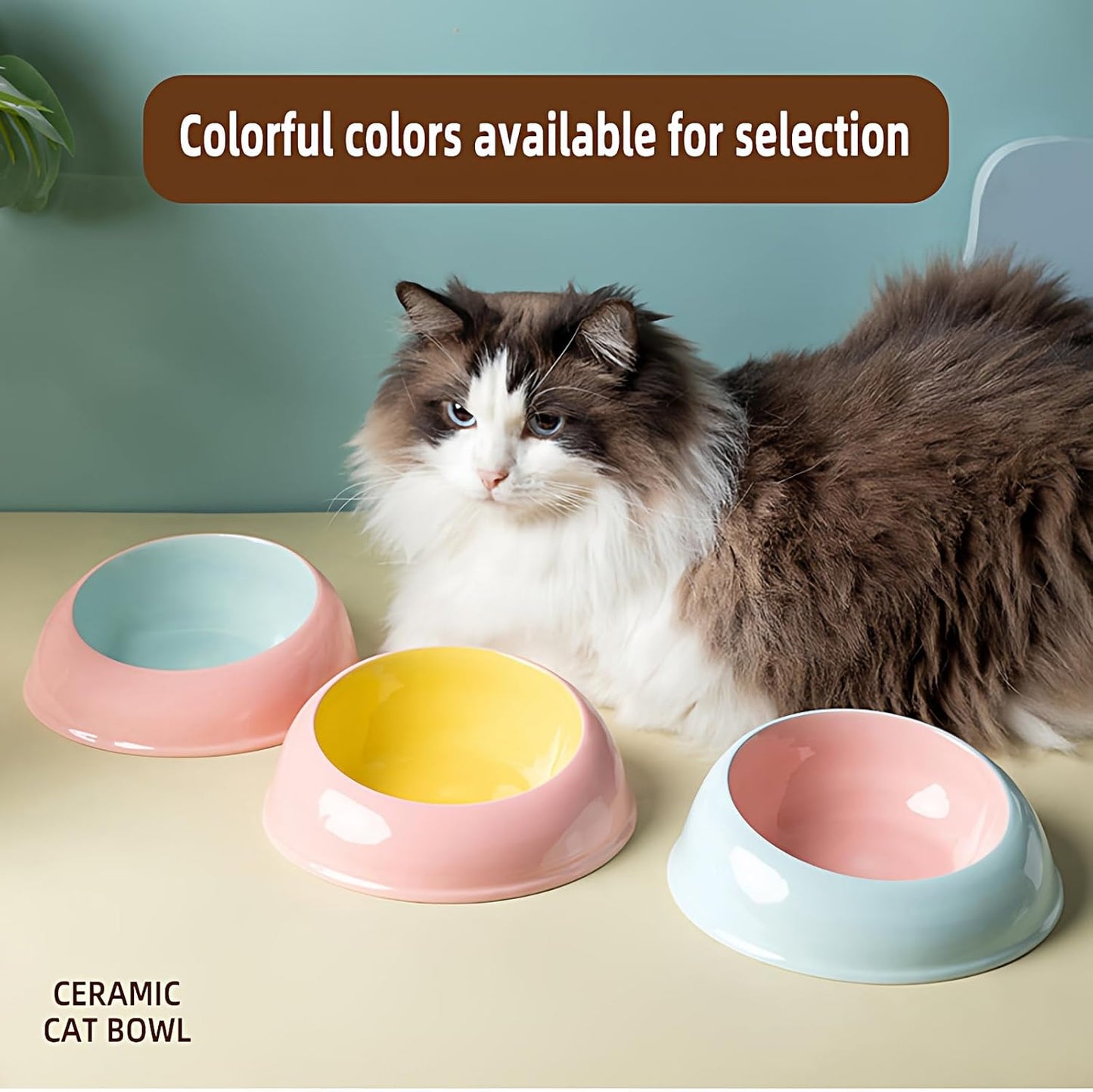 15° Inclined Cat Bowl Optimal Neck Support, Effortless Eating 6.89-Inch Wide and 2.05-Inch Tall Saucer with 7.04-Ounce Capacity Pet Bowl for Cats and Small Dogs（Pink Blue）