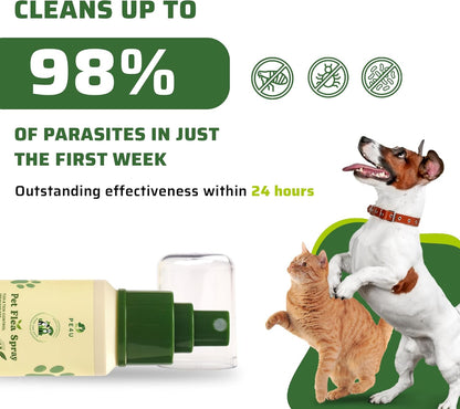 Natural Spray for Dogs & Cats - Itch Relief & Skin Soothing Spray with Eucalyptus Lemon Oil - Safe for Sensitive Skin, Reduces Irritation, Neutralizes Odor, and Protects Skin - [Spray + Shampoo]