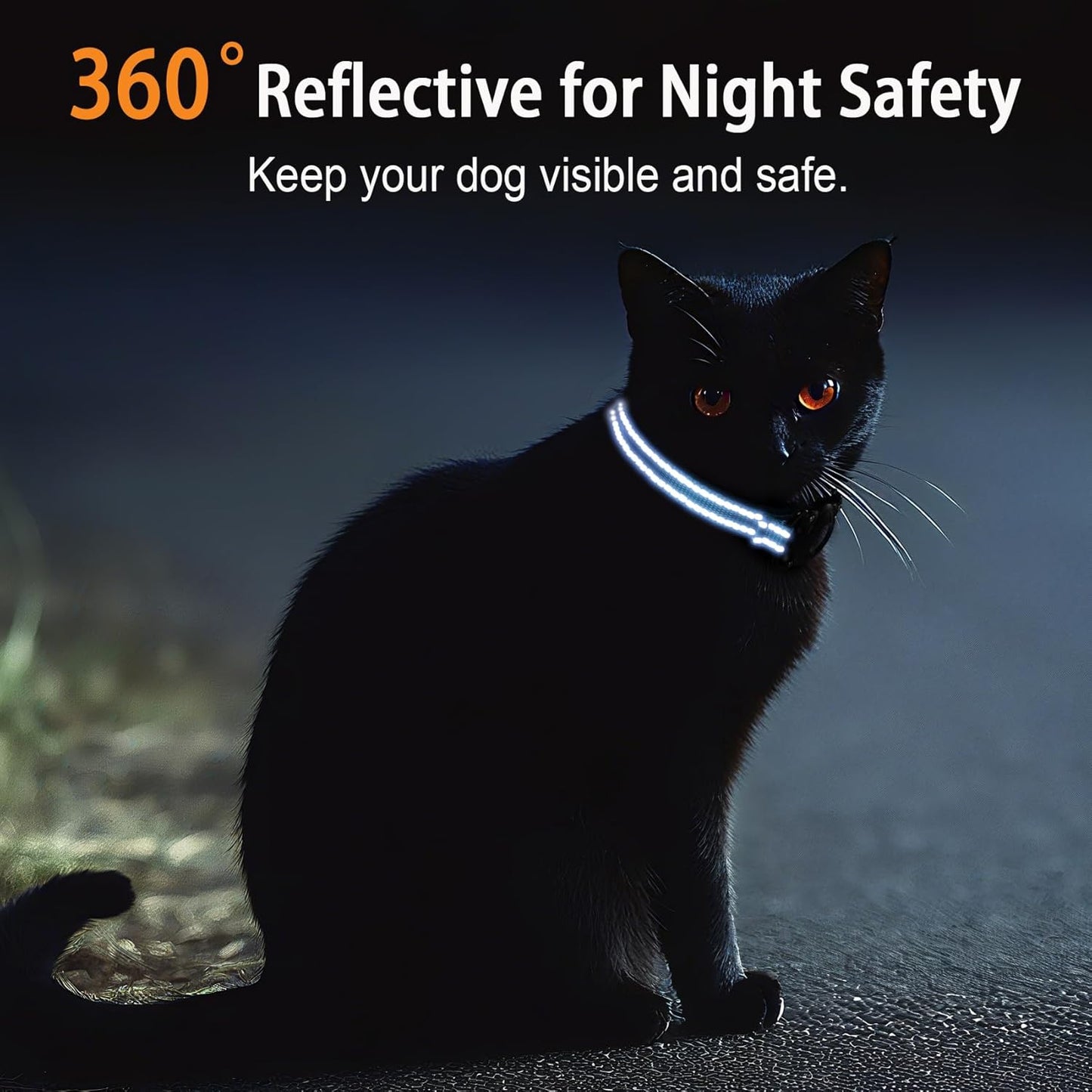 Reflective AirTag Cat Collar, IP68 Waterproof Airtag Holder, Safety Elastic Band Cat Collars for Kittens and Puppies (Blue, S)