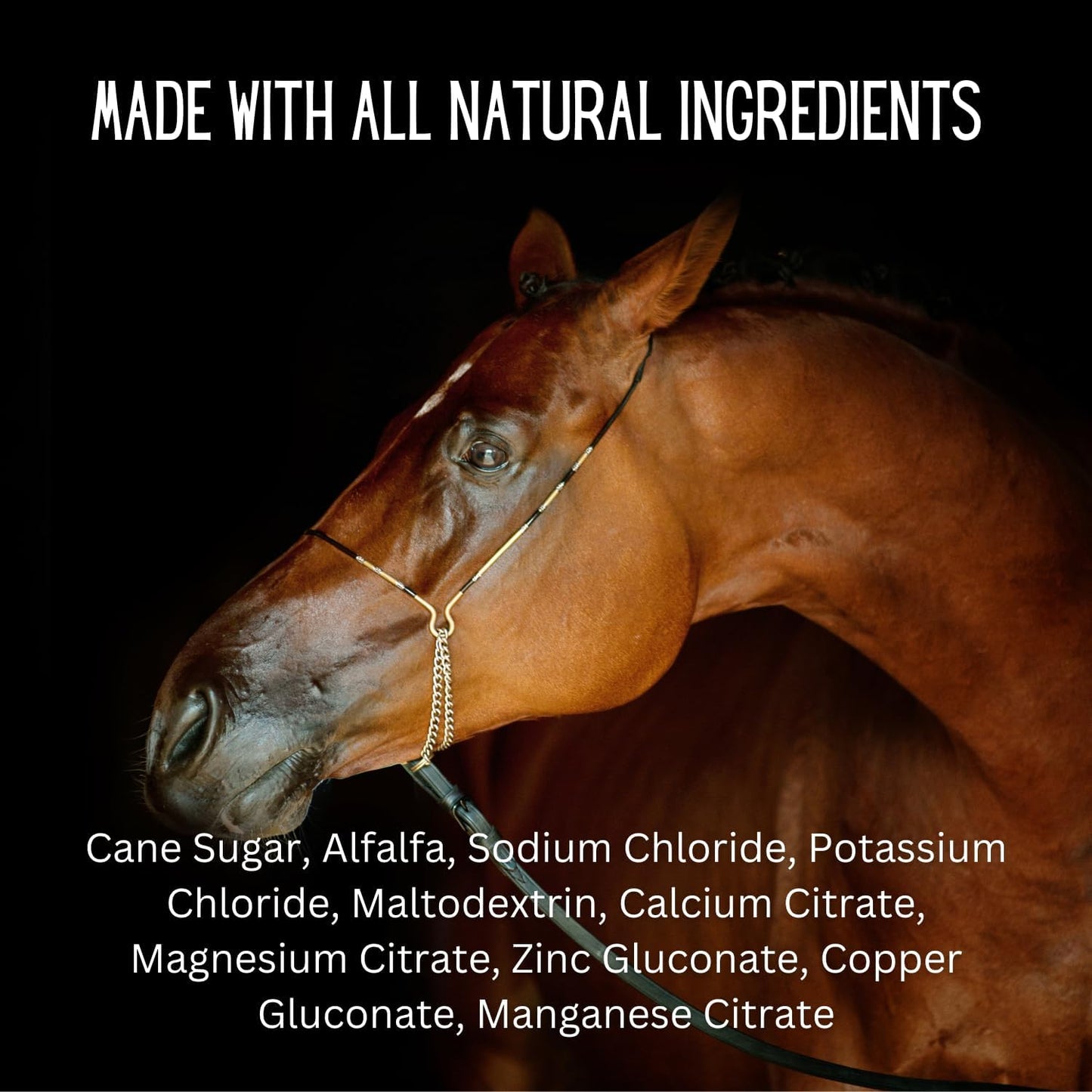 GALLAGHER'S WATER 2 Pack All-Natural Equine Hydration Treat - Enhancement Powder Mix Horse Drink Treat to Help Encourage to Drink Water - Made with All Natural Ingredients, FEI Compliant
