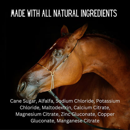 GALLAGHER'S WATER 2 Pack All-Natural Equine Hydration Treat - Enhancement Powder Mix Horse Drink Treat to Help Encourage to Drink Water - Made with All Natural Ingredients, FEI Compliant