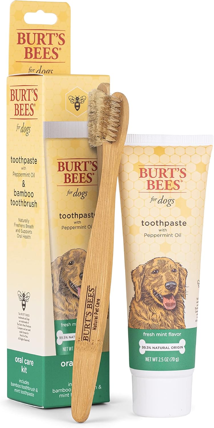 Burt's Bees for Pets Naturally Derived Oral Care Kit - Dog Dental Kit with Toothpaste & Bamboo Toothbrush - Dog Toothbrush and Toothpaste with Honeysuckle & Peppermint Oil, Fresh Mint Flavor (2.5 oz)