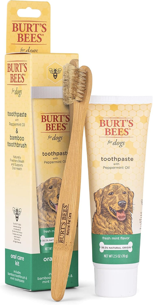 Burt's Bees for Pets Naturally Derived Oral Care Kit - Dog Dental Kit with Toothpaste & Bamboo Toothbrush - Dog Toothbrush and Toothpaste with Honeysuckle & Peppermint Oil, Fresh Mint Flavor (2.5 oz)