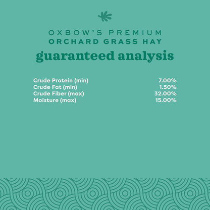 Oxbow Orchard Grass Hay for Small Pets – All-Natural Long Strand Fiber Hay for Rabbits, Guinea Pigs, Chinchillas, and Hamsters – Supports Digestive Health and Enrichment – 40 oz Bag
