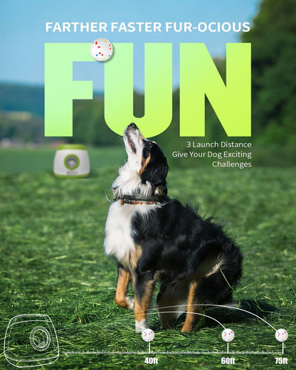 Automatic Ball Thrower for Dogs, Ball Launcher for Dogs - 2.5" Dog Balls * 6Pack (Green)