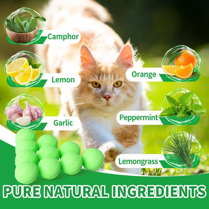 Ponal Cat Repellent Outdoor, Natural Peppermint Oil Cat Deterrent Outdoor Indoor, Keep Cats Off Lawn, Yard, Garden, Mulch & Flower Permanently Against Scratch and Chew, Keep Cats Away, 10 Pack