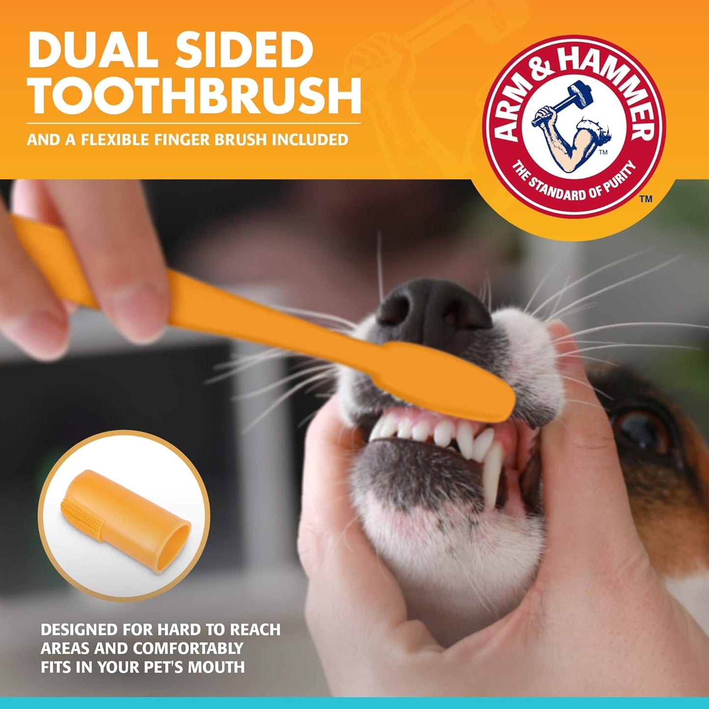 Arm & Hammer for Pets Fresh Breath Kit for Dogs | Contains Toothpaste, Toothbrush & Fingerbrush | Reduces Plaque & Tartar Buildup | Safe for Puppies, 3-Piece Kit, Vanilla Ginger Flavor | 72 Pack
