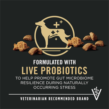 Purina Pro Plan Complete Essentials Shredded Blend Beef and Rice Dog Food Dry Formula with Probiotics for Dogs - 15 lb. Bag