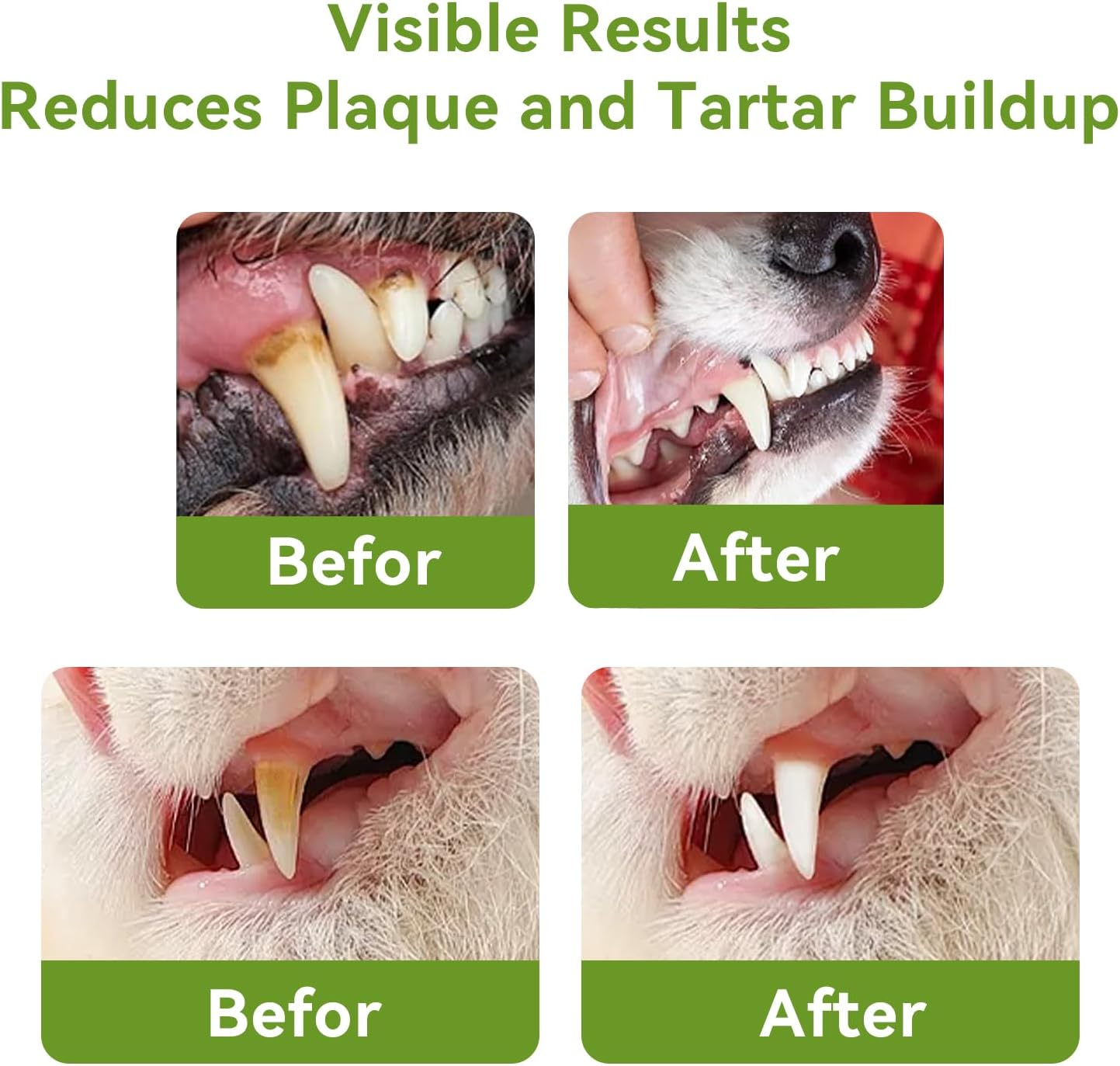 Dog Dental Powder, Dog Teeth Cleaning Powder, Natural Herbal Blend with 5 probiotics, Plaque Off Pet Tooth Cleaning, Bad Breath & Tartar Remover for Dogs & Cats, All Breeds-Mint（180g ）