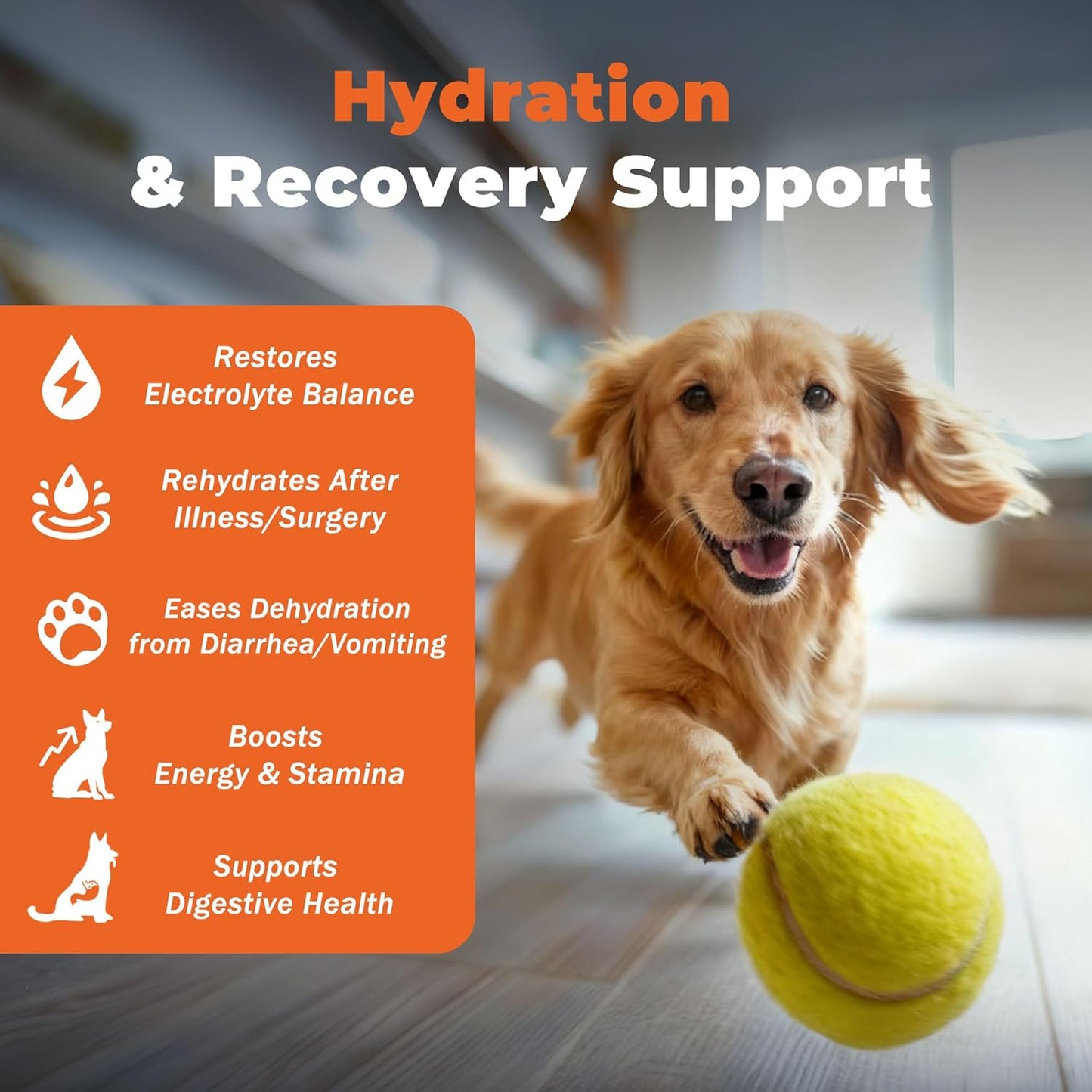 Electrolytes for Dogs – Vet-Formulated Hydration Supplement– Supports Post-Surgery & Illness Recovery– Helps Replenish Fluids & Electrolytes Lost from Diarrhea, Vomiting & Poor Appetite